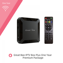 One year！ Great Bee Arabic IPTV Box with One year Extra premium Package