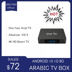 One Year Android 10 1G 8G Arabic 4K TV Box with Youtube Google Chromecast