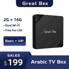 2023 New Model GREATBEE Arabic TV Box, One-time Payment Free for Life, Stream 4K 2G 16G Chromecast Android Smart TV Boxes